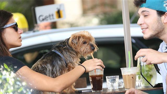 Refreshing beverages are a great way to beat the heat (Photo: Motti Kimchi)