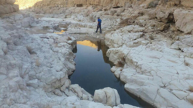 Выброс химикатов в речку Ашалим. Фото: Марк Кац (צילום: מארק כץ רשות הטבע והגנים) Выброс химикатов в речку Ашалим. Фото: Марк Кац