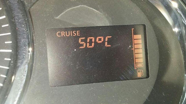 В Израиле очень жарко. Фото: Йоав Габиш (צילום: יואב גביש) В Израиле очень жарко. Фото: Йоав Габиш