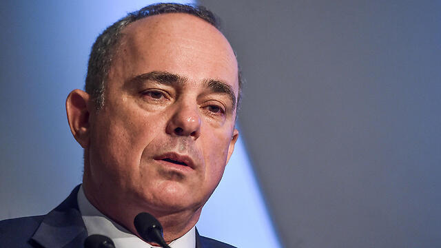 Energy Minister Yuval Steinitz (Photo: AFP)