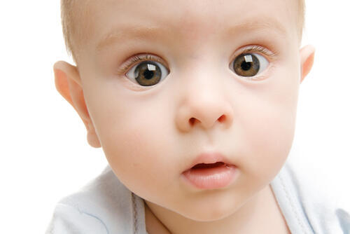 Фото: shutterstock