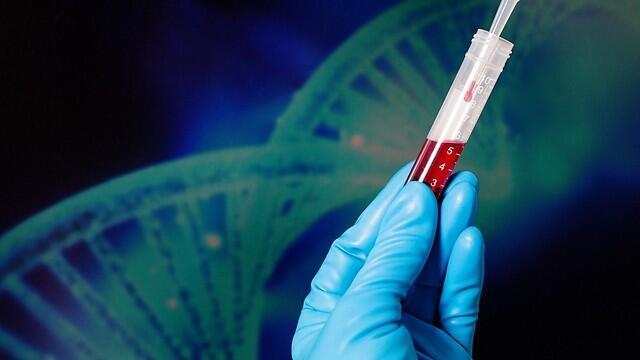 Иллюстрация: shutterstock (צילום: shutterstock) Иллюстрация: shutterstock