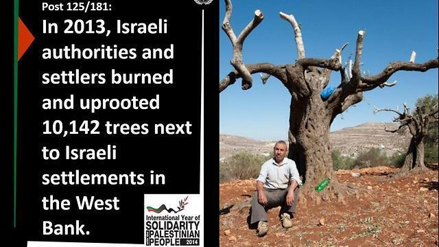 ESCWA post on Facebook