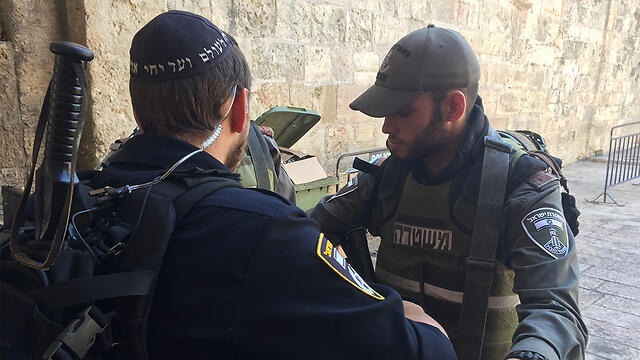 Photo: Gil Yohanan (צילום: גיל יוחנן) Photo: Gil Yohanan