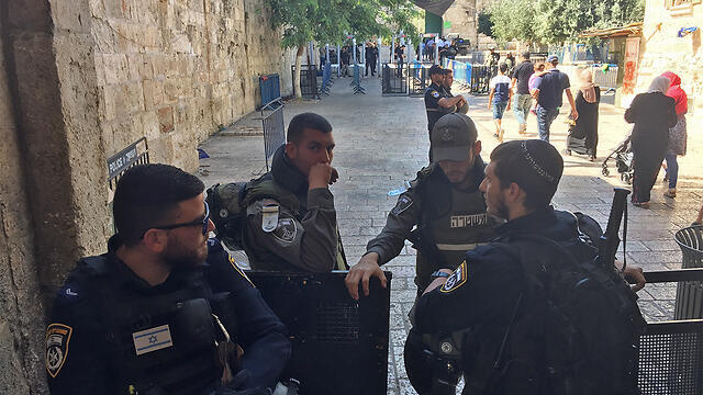 Photo: Gil Yohanan (צילום: גיל יוחנן) Photo: Gil Yohanan