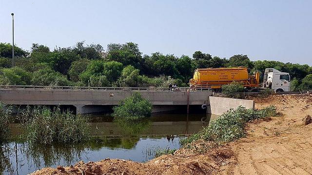 Фото: Рои Идан (צילום: רועי עידן) Фото: Рои Идан