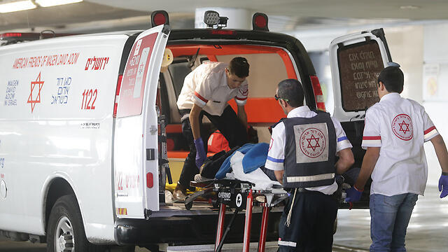 Фото: Алекс Коломойский (архив) (צילום: אלכס קולומויסקי) Фото: Алекс Коломойский (архив)