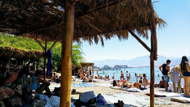 В Эйлате. Фото: Лимор Агай (צילום: לימור אגאי) В Эйлате. Фото: Лимор Агай