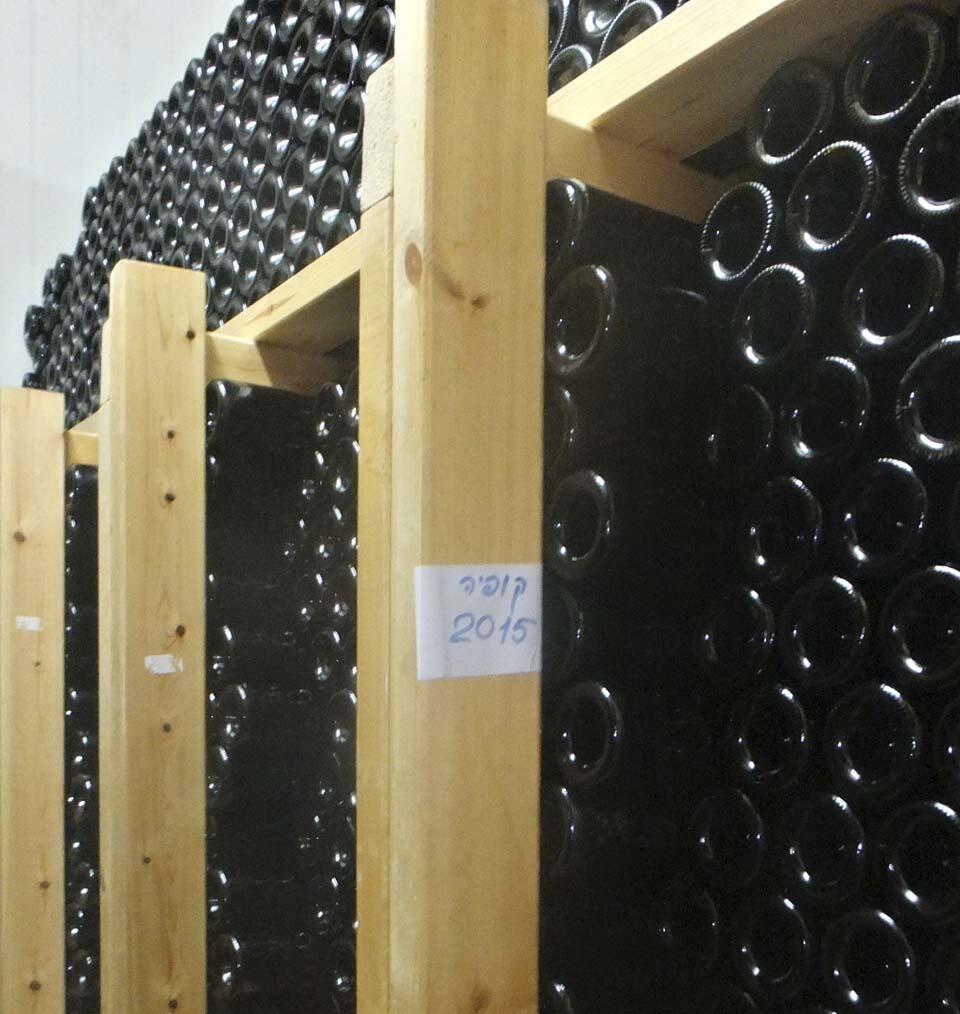 Фото: Леон Левитас