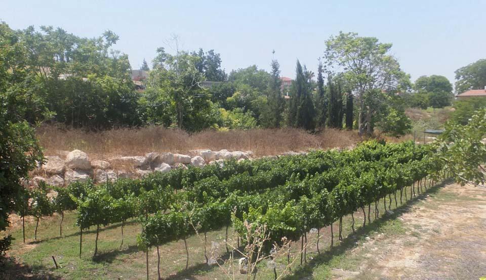 Фото: Леон Левитас