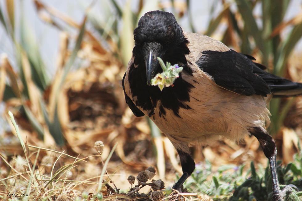 Фото: Мики Лалум