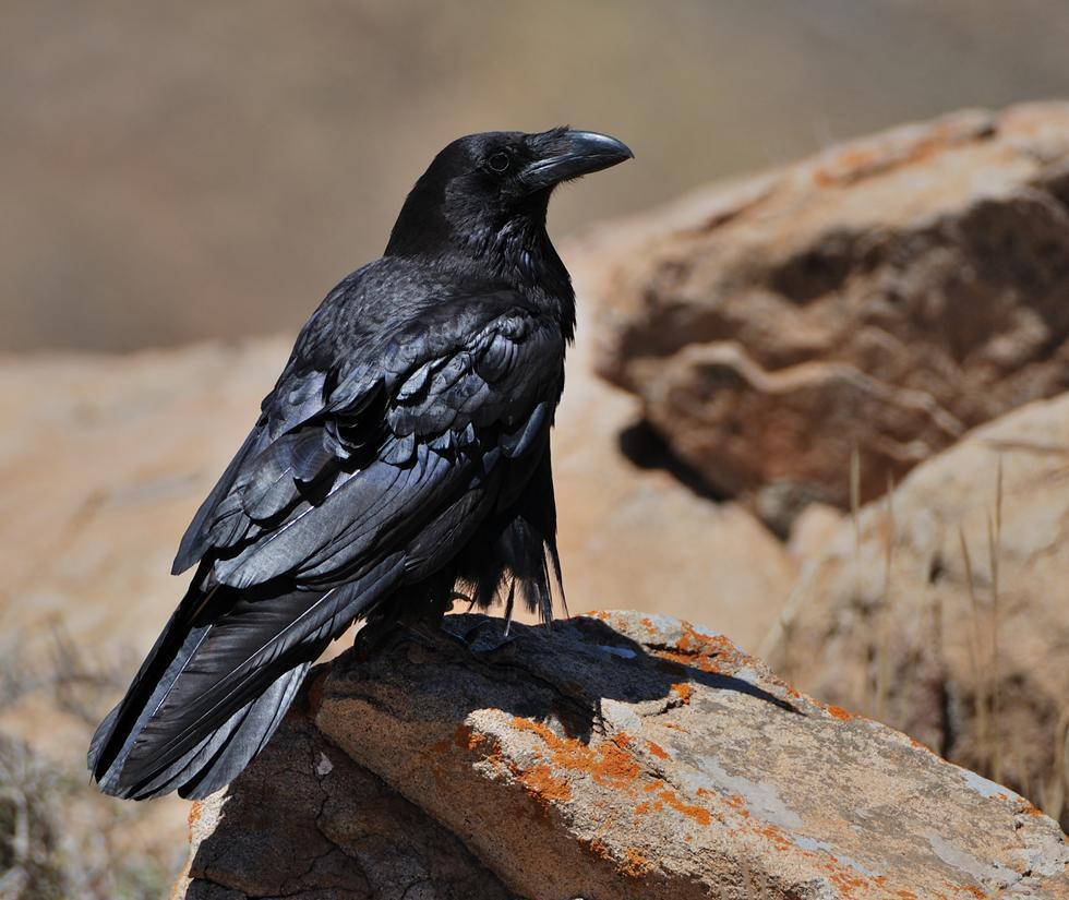 Фото: Michal Wlodarczyk