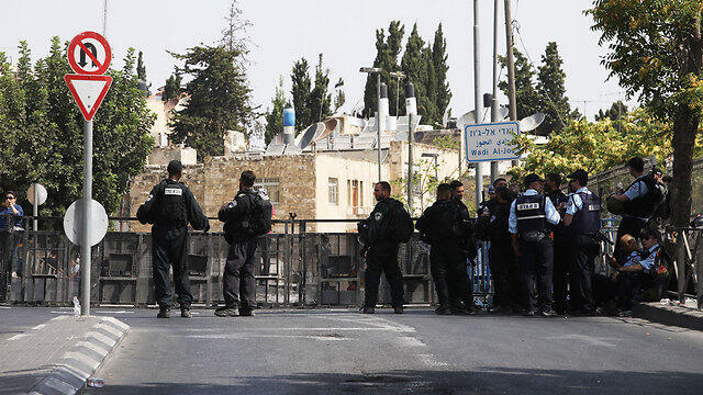 Photo: Ohad Zwigenberg