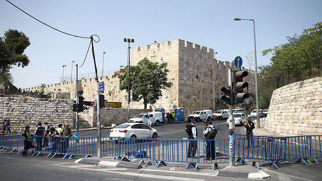 Photo: Ohad Zwigenberg