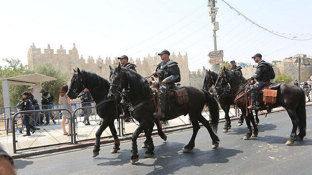 Фото: Алекс Коломойский