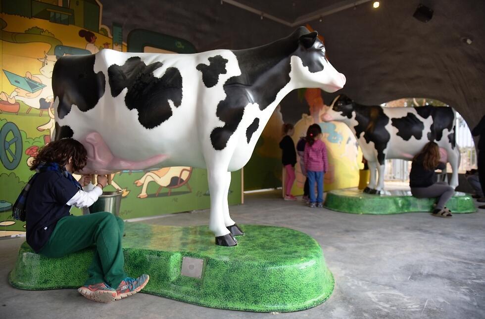 Фото: Еран Долев (Еран Долев) Фото: Еран Долев