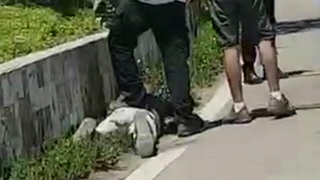 The terrorist is apprehended after trying to flee