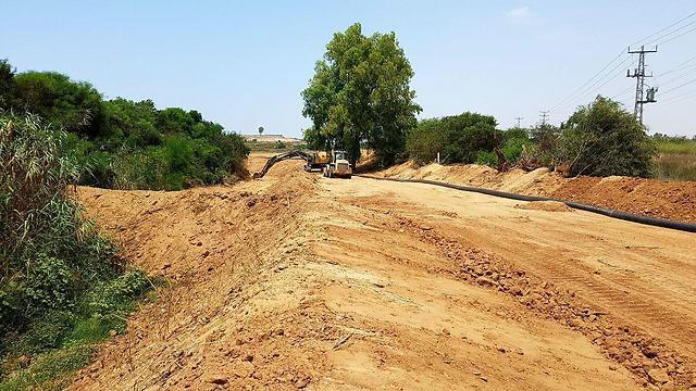 Фото: Рои Идан (צילום: רועי עידן) Фото: Рои Идан