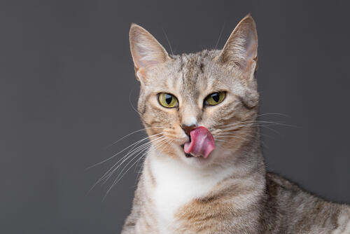 Фото: shutterstock