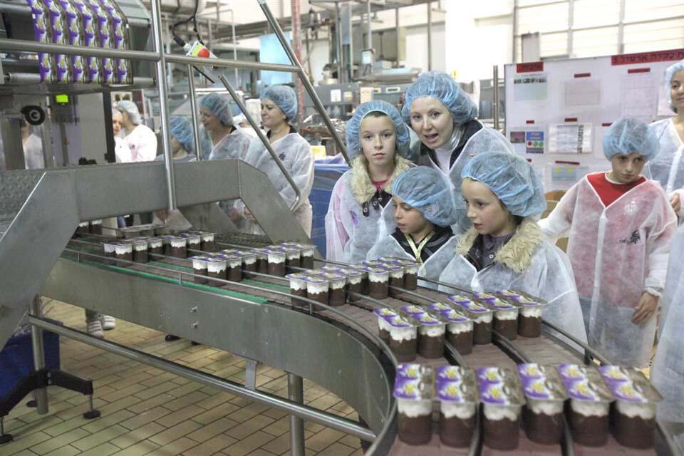 Центр для посетителей "Штраус". Фото: Сиван Фарадж 