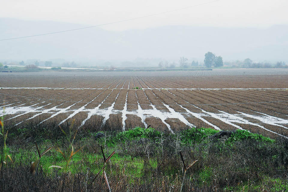 Сельскохозяйственные угодья в долине Хула. Фото: Афи Шарир