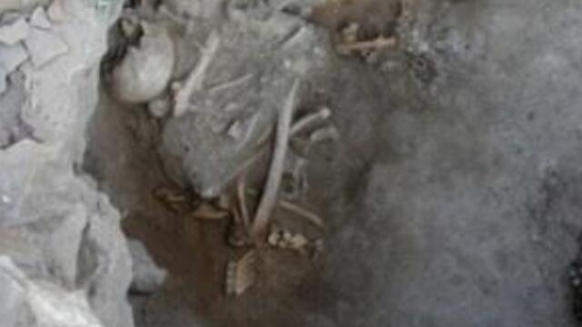 Один из останков ханаанеев. Фото взято из исследования. (צילום: מתוך המחקר) Один из останков ханаанеев. Фото взято из исследования.