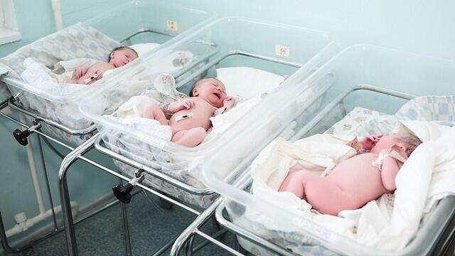 Фото: shutterstock (צילום: shutterstock) Фото: shutterstock