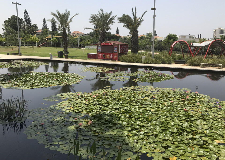 Фото: Дмитрий Мирский