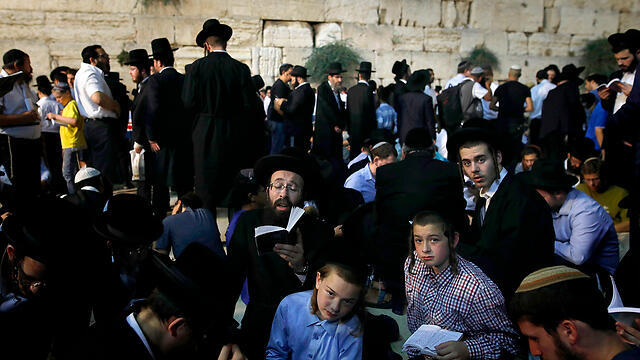 Ultra-Orthodox at the Western Wall (Photo: AFP) (צילום: AFP) Ultra-Orthodox at the Western Wall (Photo: AFP)
