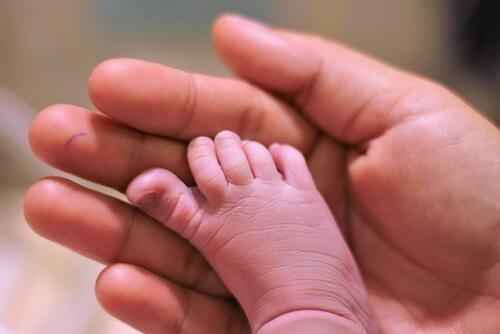 Фотоиллюстрация: shutterstock