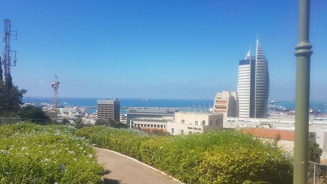 Фото: Асаф Кемер (צילום: אסף קמר) Фото: Асаф Кемер