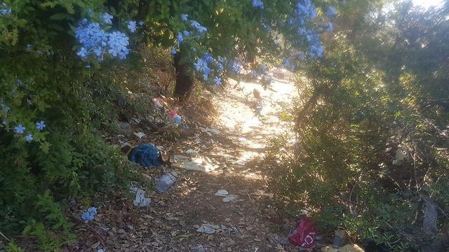 Фото: Асаф Кемер (צילום: אסף קמר) Фото: Асаф Кемер