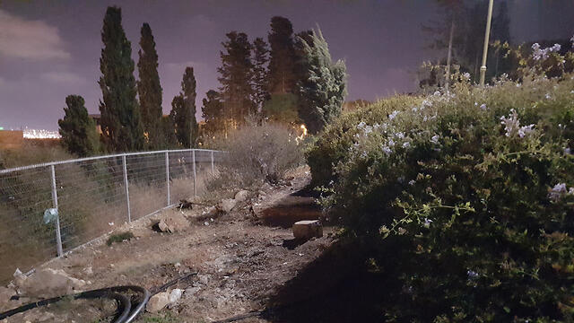 Фото: Идо Эрез (צילום: עידו ארז) Фото: Идо Эрез