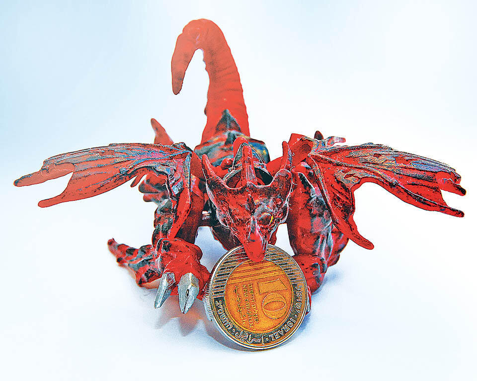 Иллюстрация. Фото: Б. Криштул