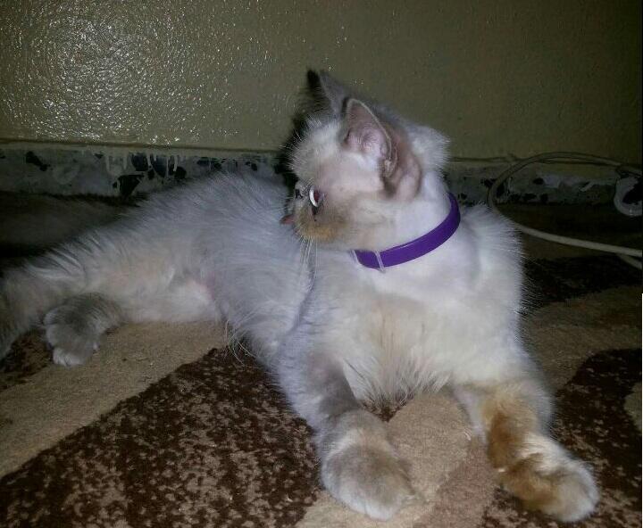 Соня дома. Фото предоставлено организацией "Тну ле хайот лихъот" (Предоставлено Тну ле хайот лихьот) Соня дома. Фото предоставлено организацией "Тну ле хайот лихъот"