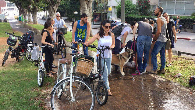 Место происшествияnullnull Место происшествия