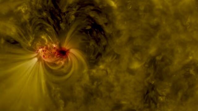 Новое пятно на Солнце. Фото NASA (צילום: נאס"א) Новое пятно на Солнце. Фото NASA