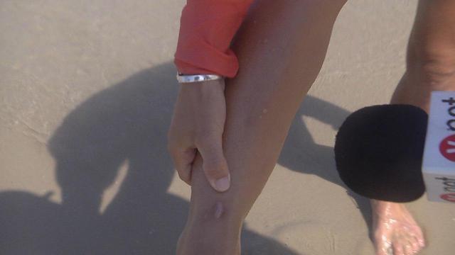 Фото: Ницан Дрор (צילום: ניצן דרור) Фото: Ницан Дрор