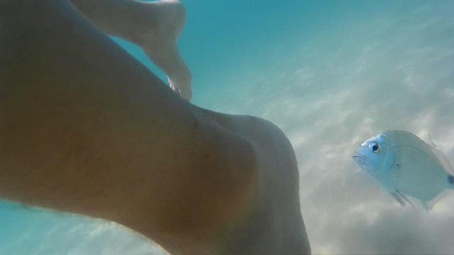 Фото: Ницан Дрор (צילום: ניצן דרור) Фото: Ницан Дрор