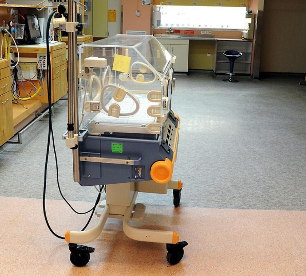 Фото: Хаим Горенштейн (צילום: חיים הורנשטיין) Фото: Хаим Горенштейн