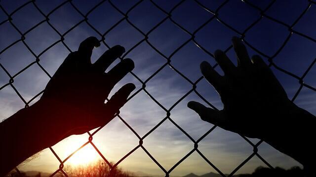 Фото: shutterstock (צילום: shutterstock) Фото: shutterstock