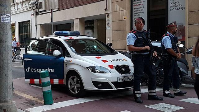 Фото: Йоав Зейтун (צילום: יואב זיתון) Фото: Йоав Зейтун