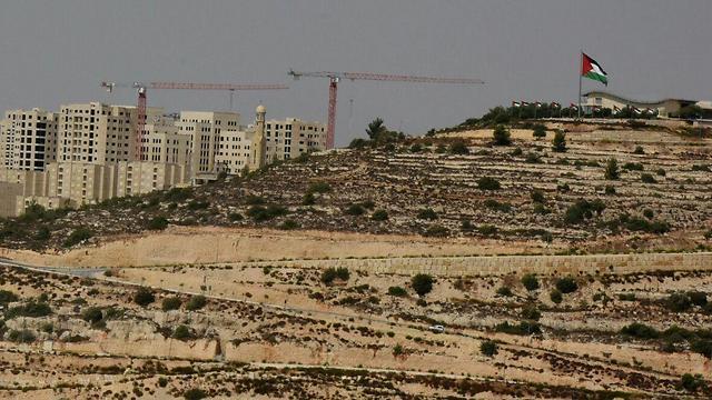 Photo: Eliahu Avniel (צילום: אליהו אבניאל) Photo: Eliahu Avniel