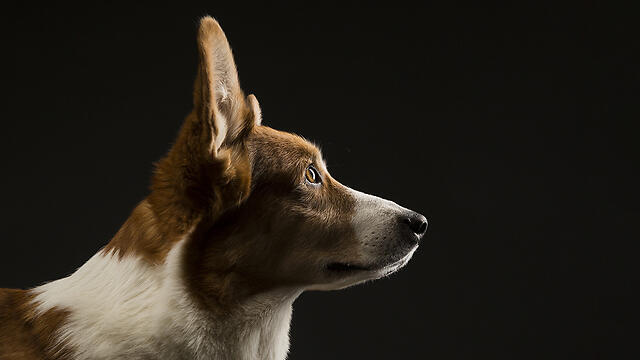 Фото: shutterstock