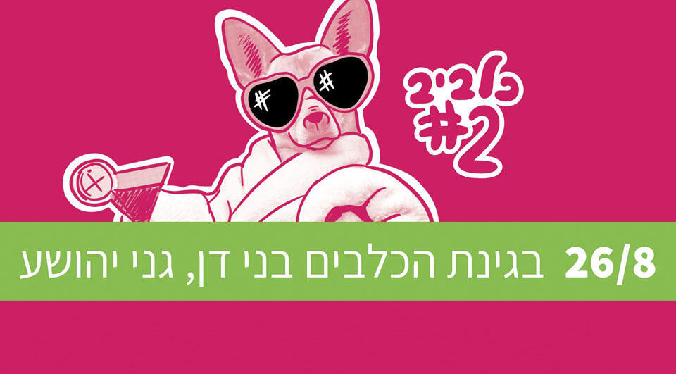 Фестиваль городских собак и их хозяевnullnull Фестиваль городских собак и их хозяев