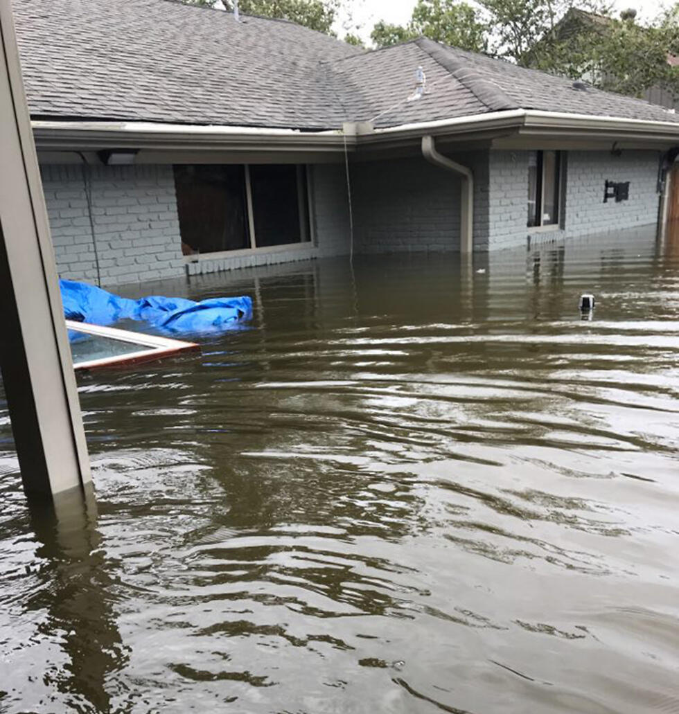 Фото: Янив Джеропи