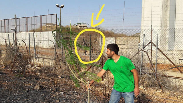 Planting a tree in front of an IDF soldiernullnull Planting a tree in front of an IDF soldier