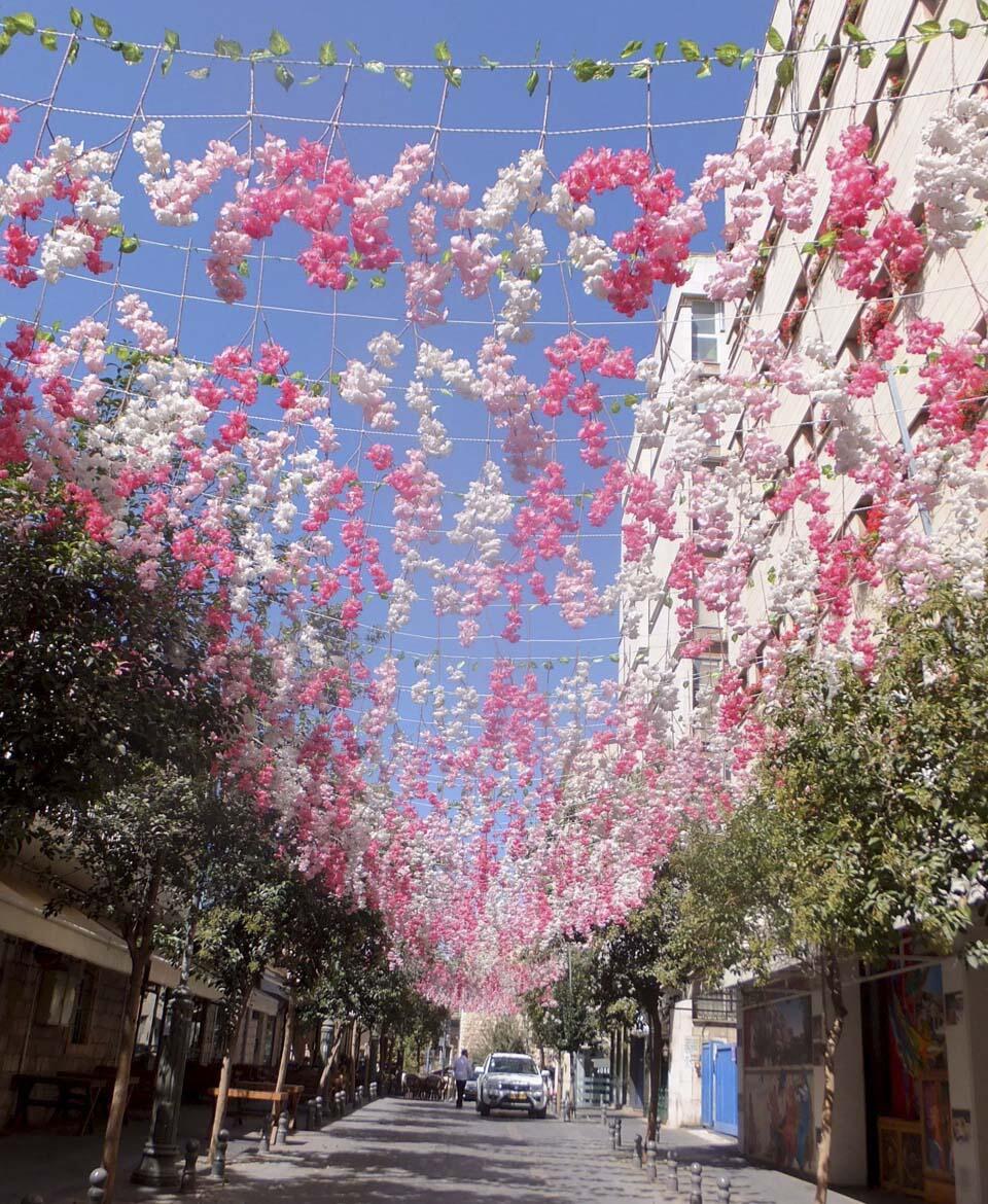 Японская улица в Иерусалиме. Фото: Леон Левитас (Фото: Леон Левитас) Японская улица в Иерусалиме. Фото: Леон Левитас