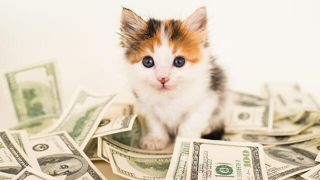 Фото: shutterstock