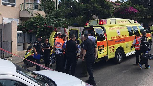 Фото: Поста (צילום: פוסטה) Фото: Поста